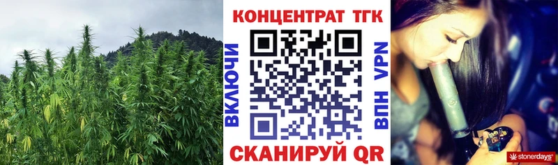 Купить где Нижний Новгород Дистиллят ТГК гашишное масло