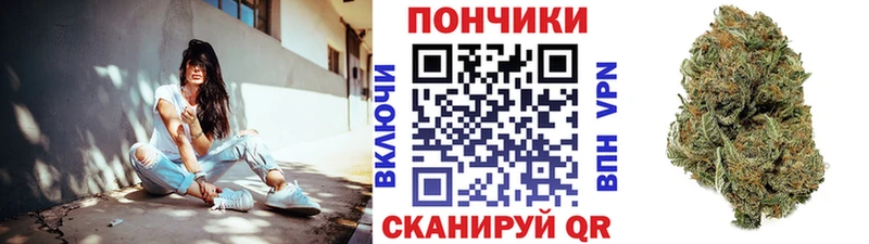 Купить где  Нижний Новгород  Шишки марихуана гибрид 